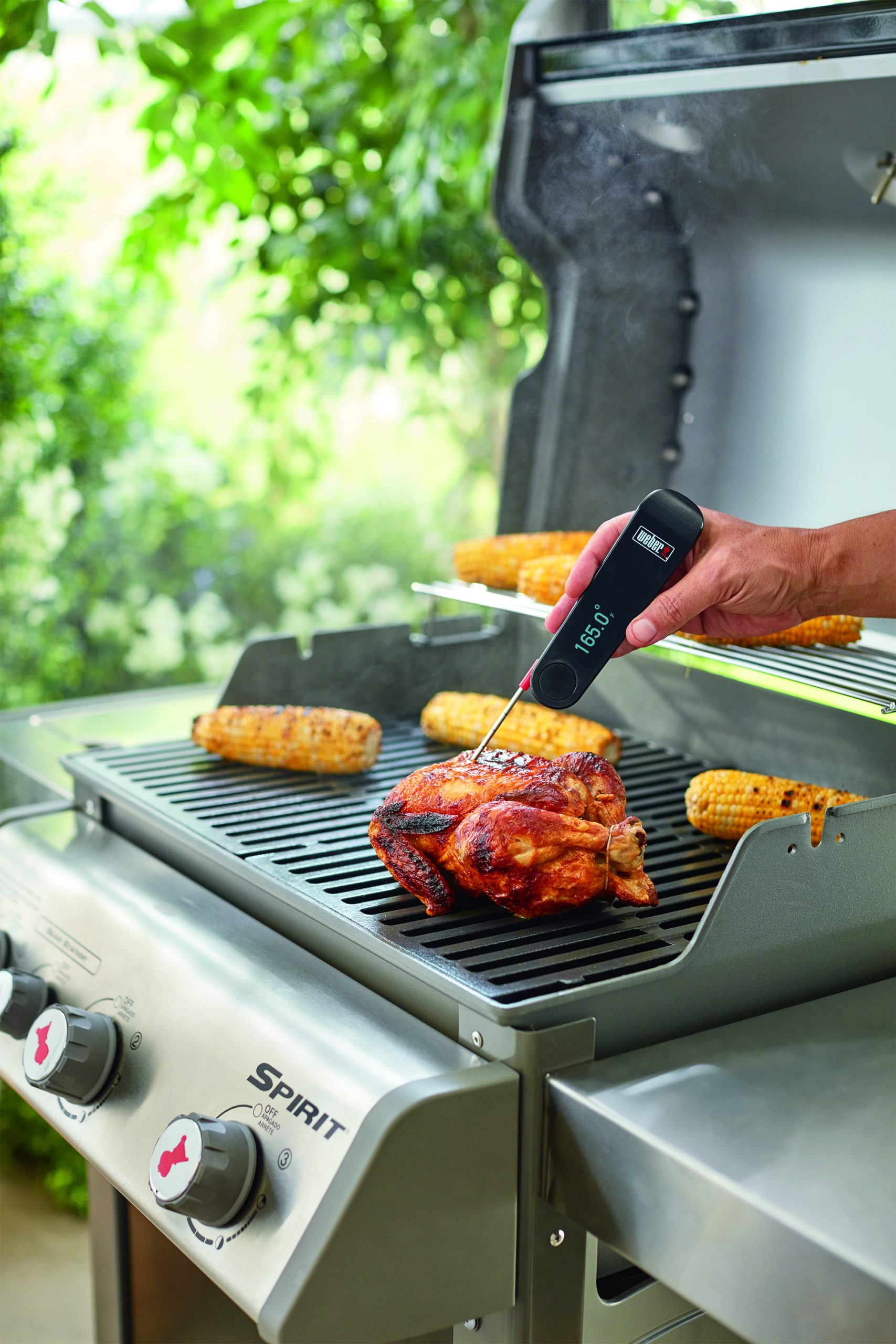 Weber 6753 Snapcheck Digital Meat Thermometer 