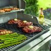 Genesis Sear Grate - Image 4